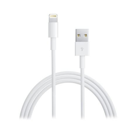 ADATTATORE DA LIGHTNING A USB (MD818ZM/A) 1MT BULK